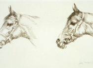 Two Horses Heads (Mill Reef)