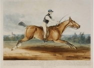 Equestrian Match 600 Guineas. Mr William Hutchinson on 'Stareing Tom', racing against time