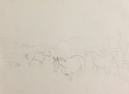 Sketch of Horses